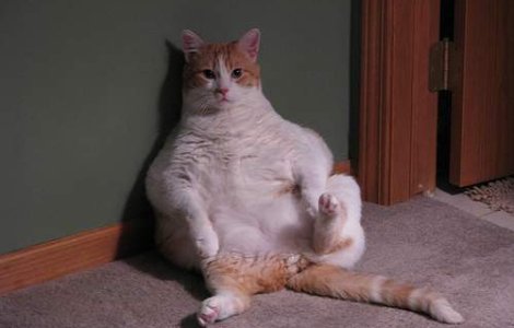 Injectia care te scapa de kilogramele in exces