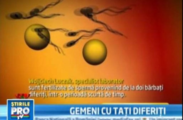 [VIDEO]  Doi gemeni din Polonia au aceeasi mama, dar tati diferiti