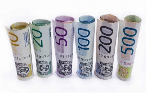 Cum "va arata" economia in 2011?