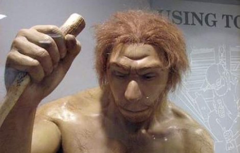 Ramasite de Homo sapiens de acum 400.000 de ani, descoperite in Israel