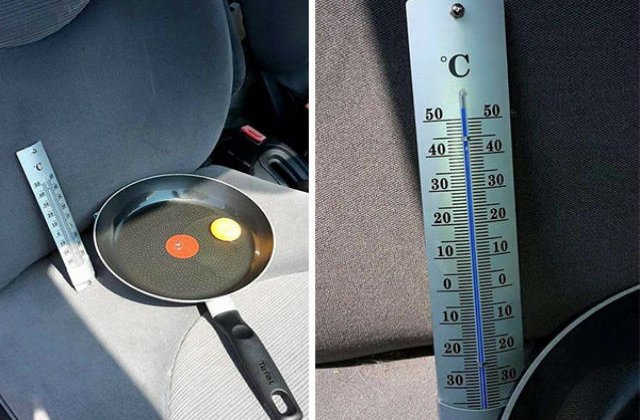 [FOTO] Gestul extrem facut de un barbat pentru a arata ce se intampla cand iti lasi cainele in masina pe canicula