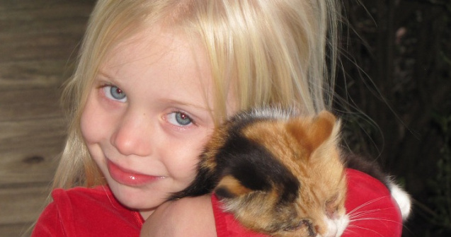 Cel mai cautat job din lume. Imbratisezi pisici