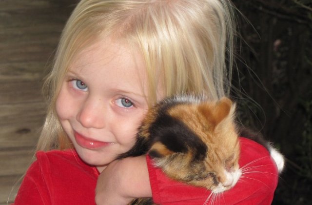 Cel mai cautat job din lume. Imbratisezi pisici si esti platit pentru asta