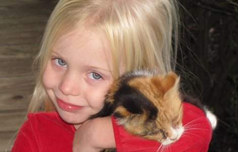 Cel mai cautat job din lume. Imbratisezi pisici si esti platit pentru asta