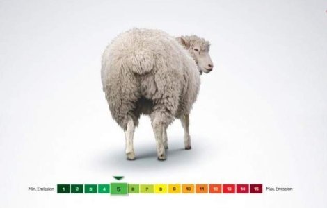 Ce masina polueaza mai putin decat o oaie?