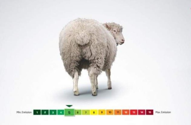 Ce masina polueaza mai putin decat o oaie?