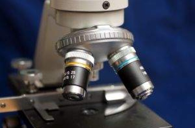 Analiza ADN poate determina culoarea parului