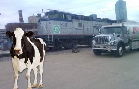 Grasimea din carnea de vita, combustibil pentru tren