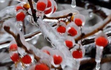 Gerul Bobotezei: -22 de grade in Judetul Harghita