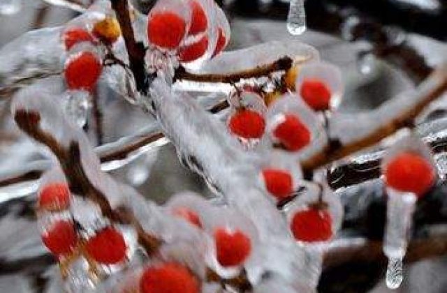 Gerul Bobotezei: -22 de grade in Judetul Harghita