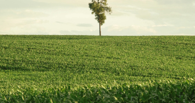 Joi incepe a sasea editie a Pelicam, Festivalul International de Film despre Mediu si Oameni