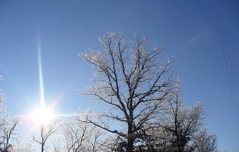Vremea se incalzeste