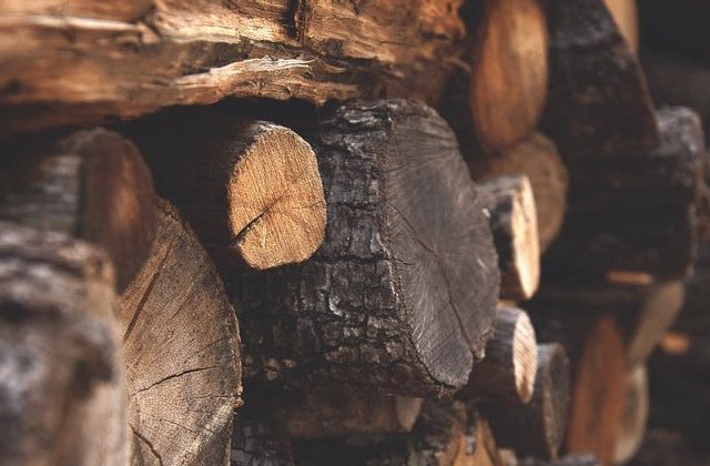 Raport Greenpeace Romania: 42% din taierile ilegale depistate in 2016 au fost semnalate de cetateni