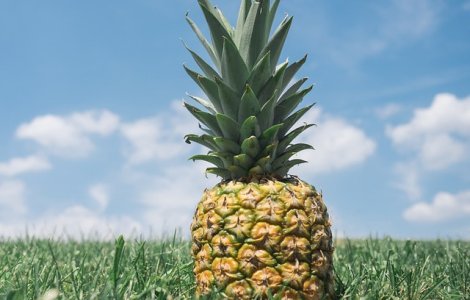  Top  9 modalitati de a alege cele mai bune fructe