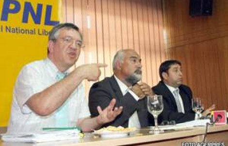 Guvernul candidatilor