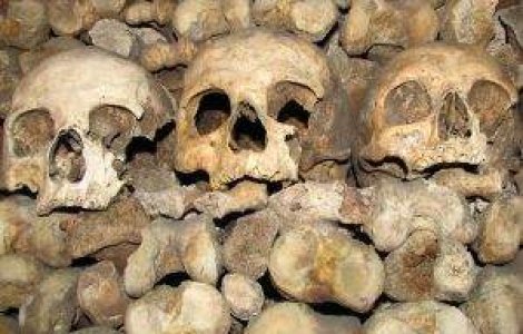 Schelet uman, gasit sub pardoseala bucatariei unei case din Pitesti