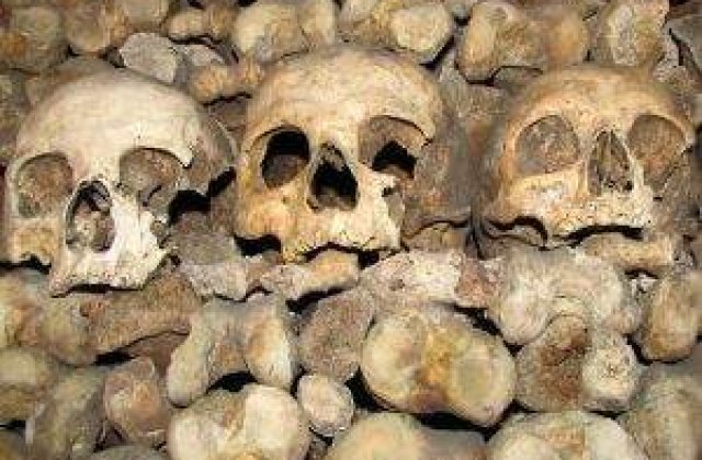 Schelet uman, gasit sub pardoseala bucatariei unei case din Pitesti