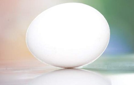 Aplicatie smartphone care identifica ouale contaminate cu dioxina