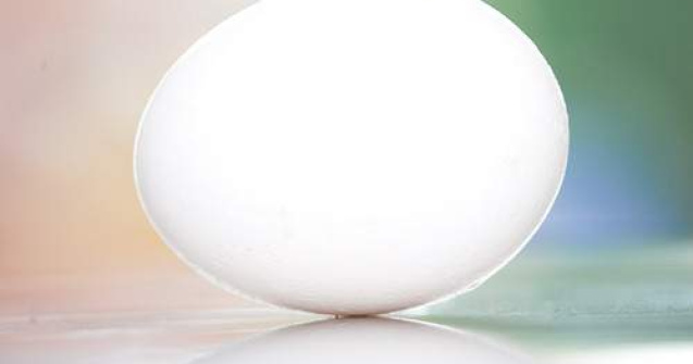 Aplicatie smartphone care identifica ouale contaminate cu dioxina