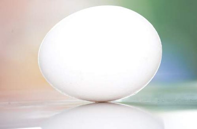 Aplicatie smartphone care identifica ouale contaminate cu dioxina