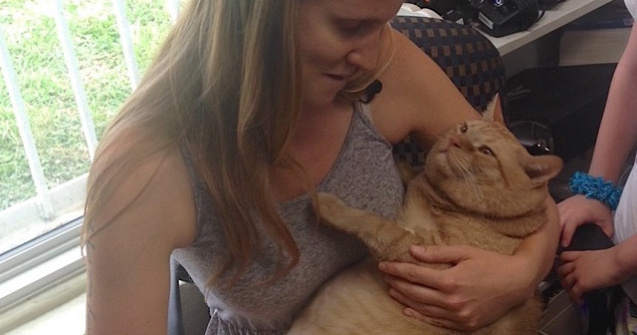 O pisica de 16 kg a intrat la cura de slabire