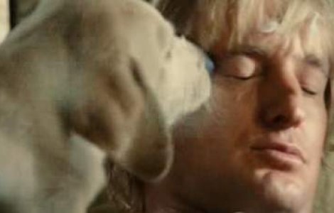 Owen Wilson este tatic