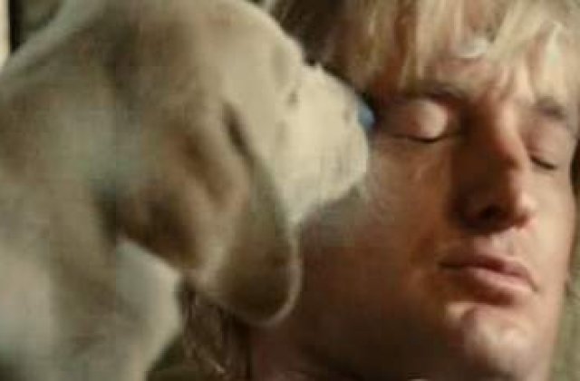 Owen Wilson este tatic