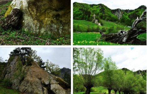 Geoparcul "Tinutul Buzaului", propus pentru Reteaua Globala de situri