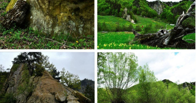 Geoparcul "Tinutul Buzaului", propus pentru Reteaua Globala de situri