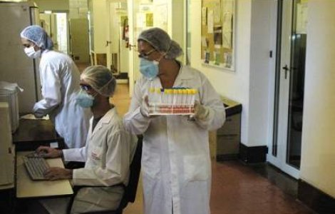 Se intoarce gripa porcina?