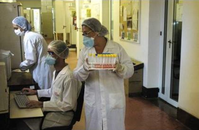 Se intoarce gripa porcina?