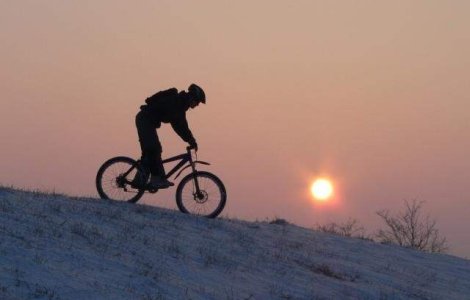 Top politicieni sportivi