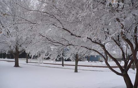 Meteorologii au vesti proaste: Iarna se intoarce