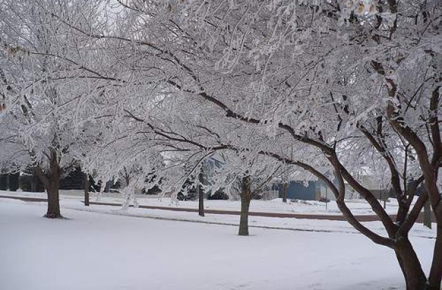 Meteorologii au vesti proaste: Iarna se intoarce