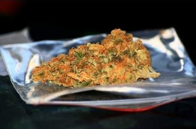 Romanii vor sa interzica etnobotanicele in toata Europa