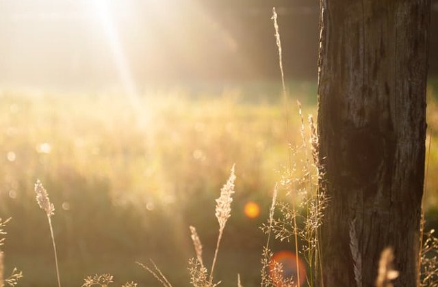 12 judete, sub cod GALBEN de canicula. De joi, valul de caldura se va extinde in toata tara