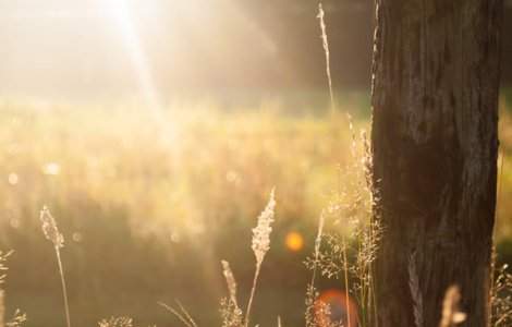 12 judete, sub cod GALBEN de canicula