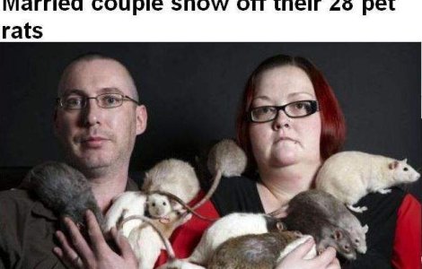 Un cuplu creste 28 de sobolani