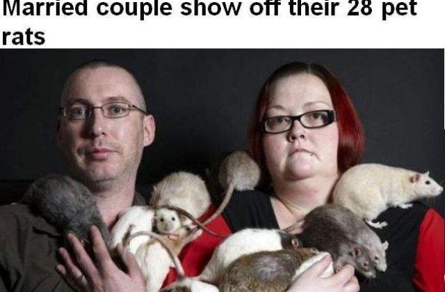 Un cuplu creste 28 de sobolani