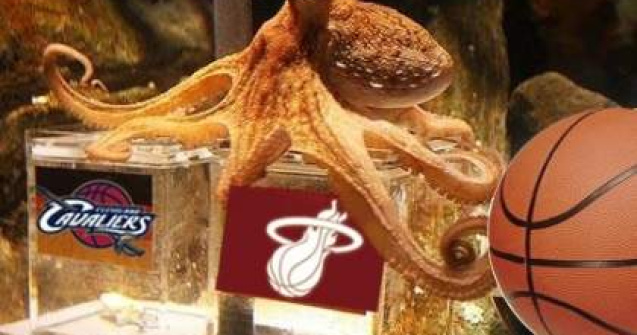 Nemtii vor ridica o statuie in memoria caracatitei Paul