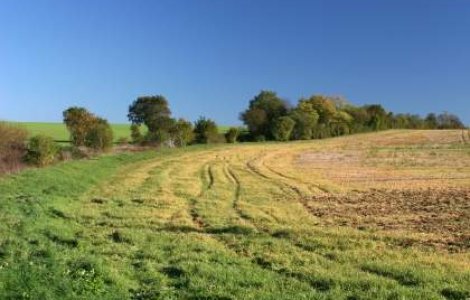 Romania: Terenurile agricole sunt contaminate