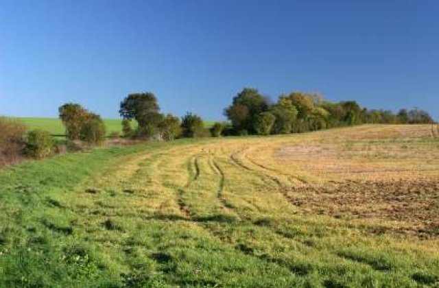 Romania: Terenurile agricole sunt contaminate