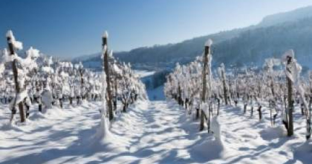 Patru turisti au ramas blocati in Masivul Bucegi