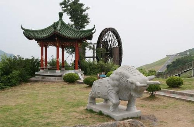 Economia Chinei "si-a luat avant" si in 2010