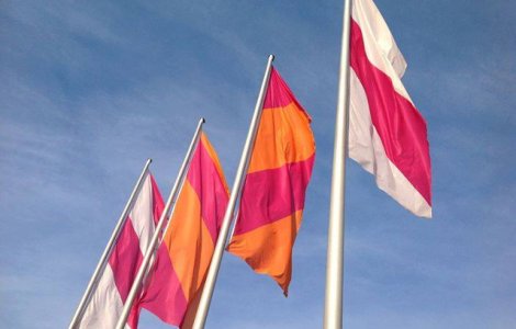 Hornbach isi deschide magazin online