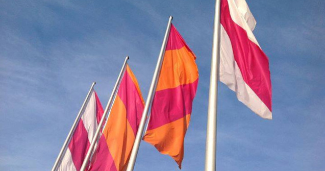 Hornbach isi deschide magazin online