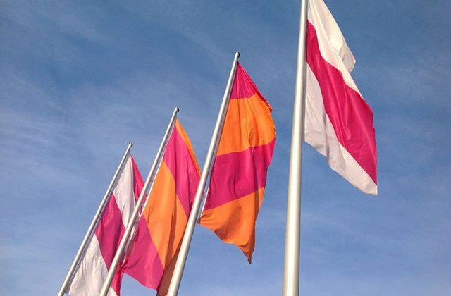 Hornbach isi deschide magazin online