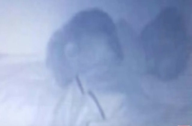 [VIDEO] Infiorator: ce a observat aceasta mama pe camera de monitorizare a bebelusului