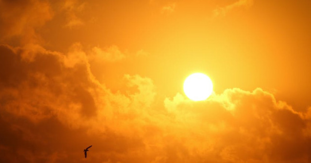 Cod ROSU de canicula. Temperaturile vor ajunge chiar si la 44 de grade