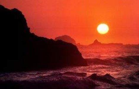  Top  E oficial: 2010 a fost cel mai calduros an din istorie!